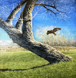 mark_tompkins_art006015.jpg